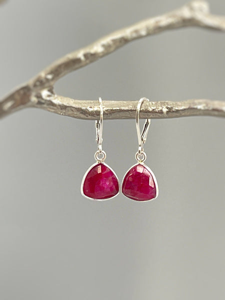 Top 150+ Crimson Charm Earrings: Striking & Captivating Pieces