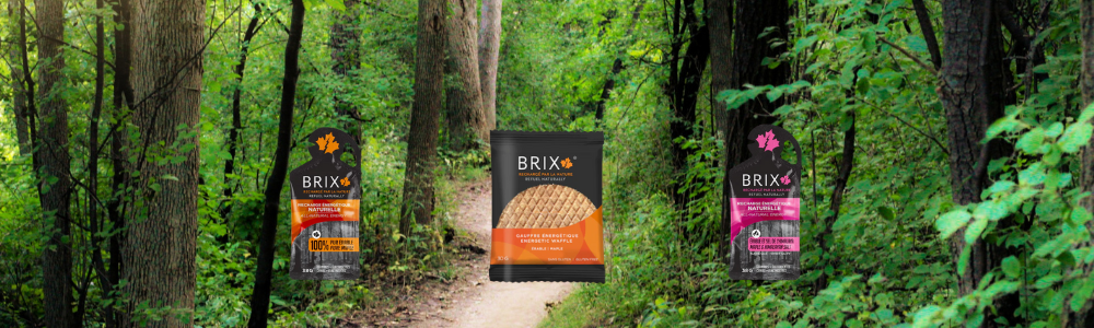 BRIX MAPLE