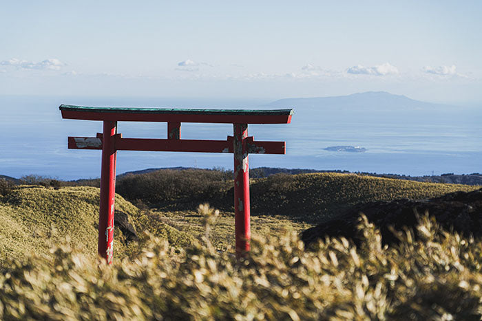 view from the top - the torii gate