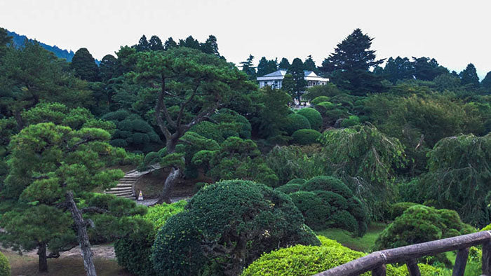 the gardens of the onshi hakone park