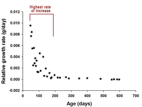 Daisy's relative growth rate over age show the highest rate of increase