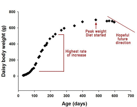 Daisy weight gain over days with markings showing peak and highest increase