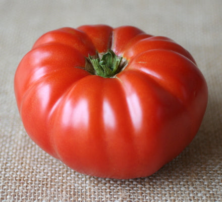 medlem Nogen som helst slå Buffalo Steak VFNT Hybrid Tomato – Tomato Growers Supply Company