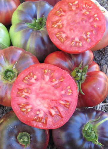 blue beauty tomato