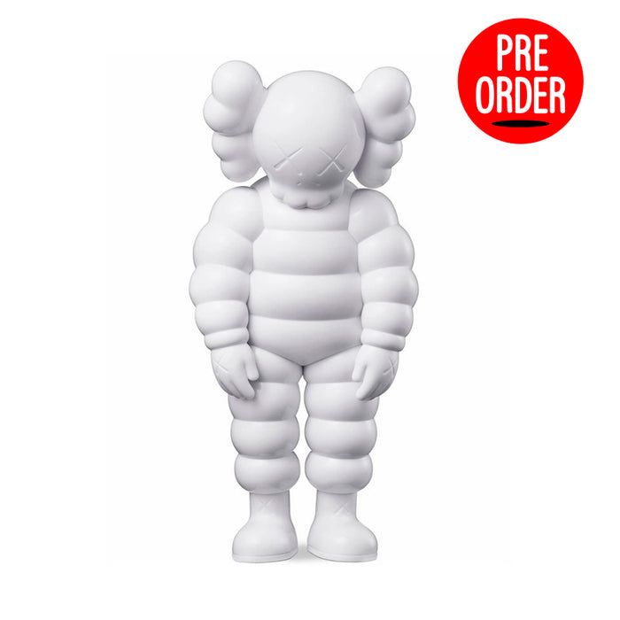 kaws what party white カウズ 白 | www.innoveering.net