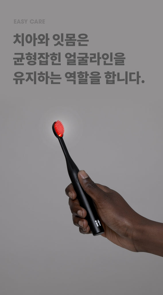 [E:Flash] IT Flash 800k Toothbrush Gum Care Edition