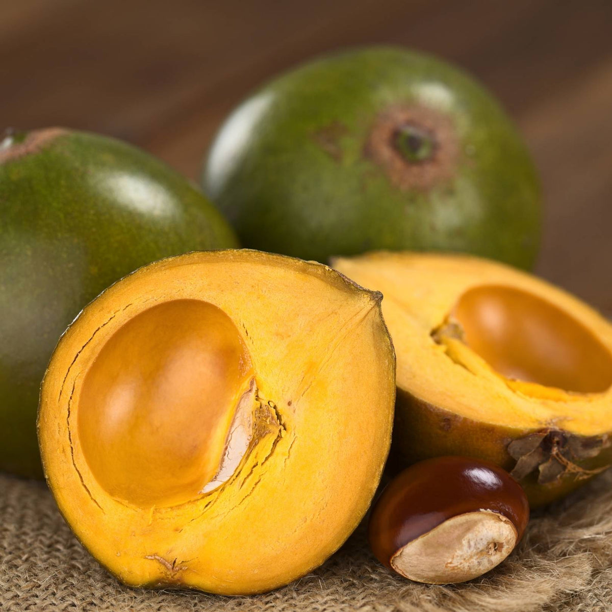 Lucuma fruit with seed