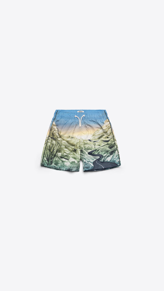 Image of All-Over Printed Swim Shorts