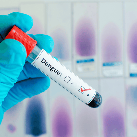 test tube with the word dengue