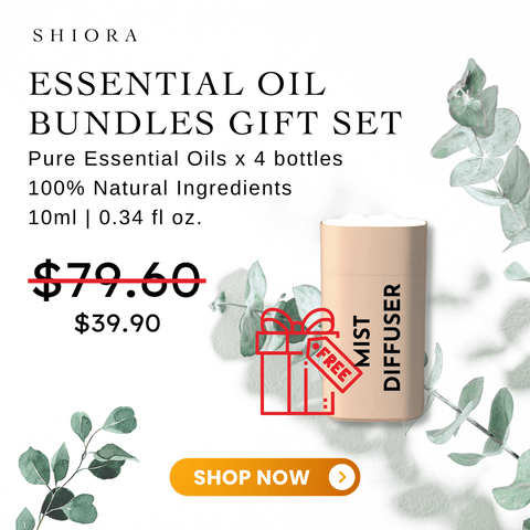 SHIORA Essential oil and reed difusser