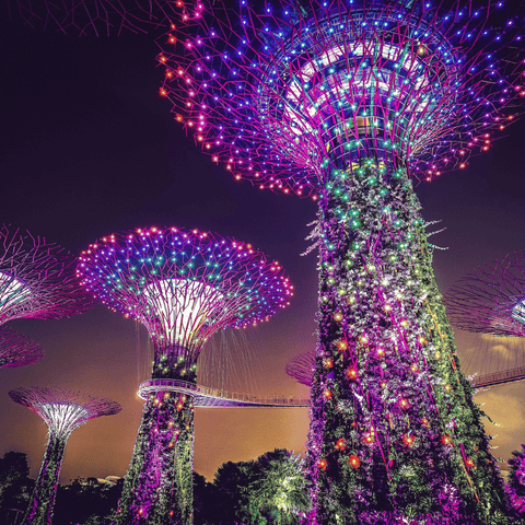 gardens by the bay 