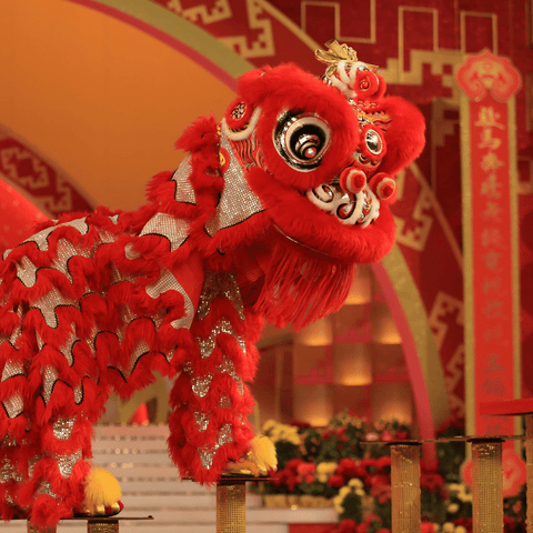 lion dance