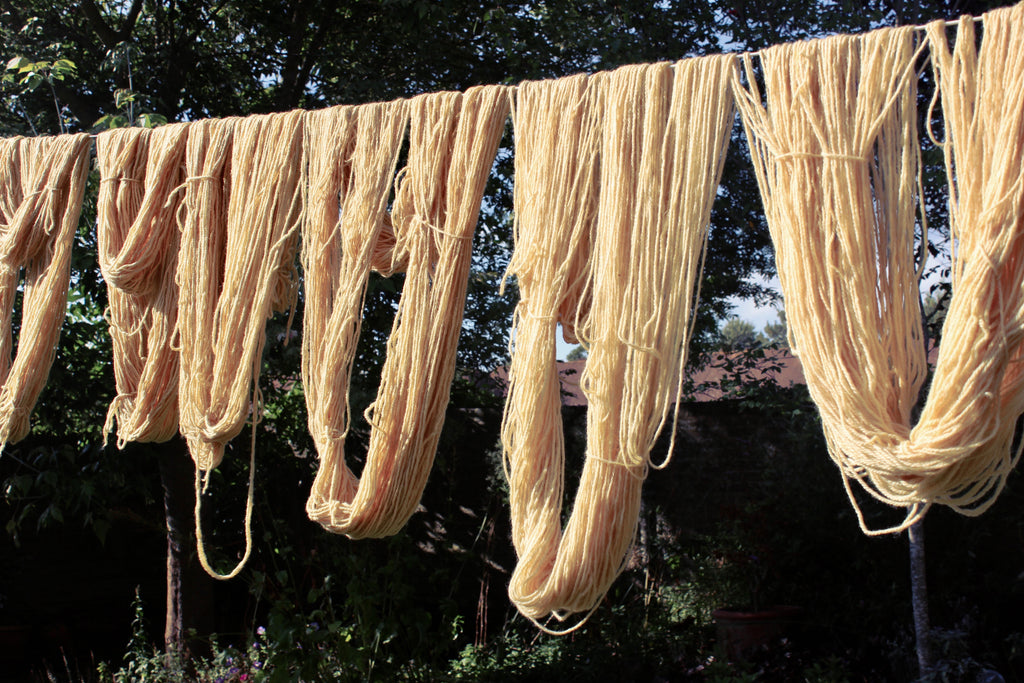 Dahlia dyed wool hanging on the washing line