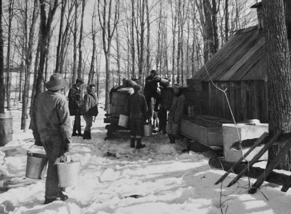 The Palmateer Sugar Bush was first tapped in the early 1940's by Stephen's grandfather, Ross Palmateer. Back then it was tapped using the old fashioned spoil and bucket.
