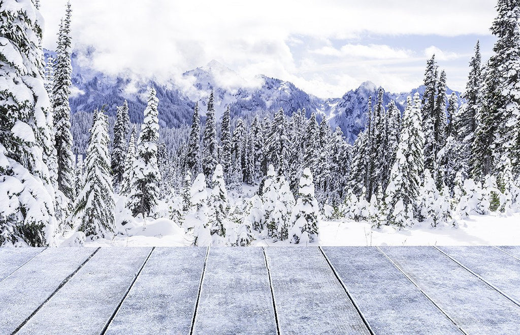 forest backdrops for photography