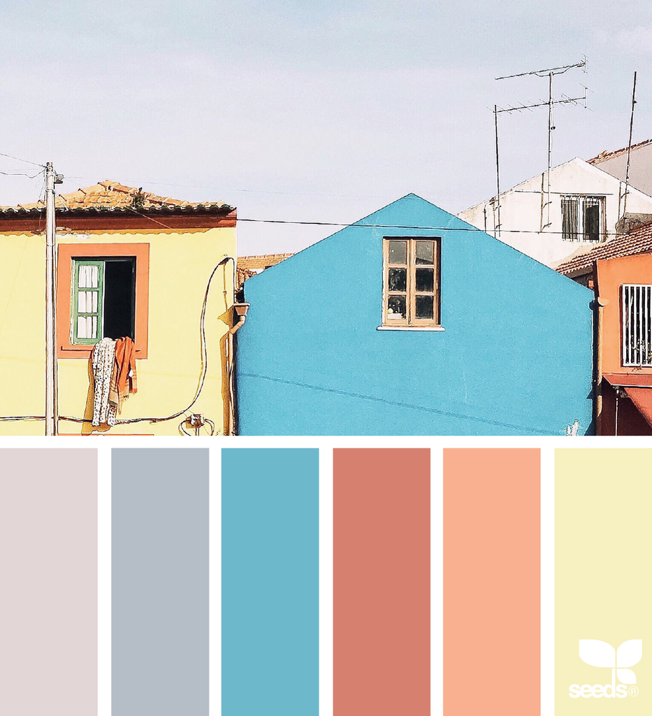 vibrant house colour palette