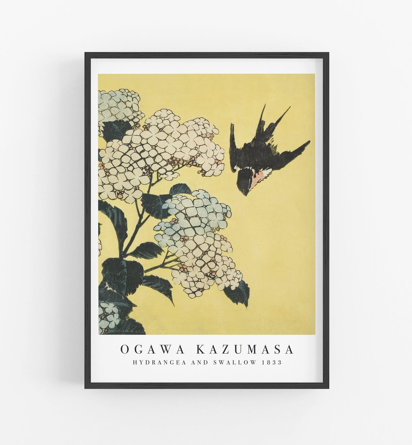 Kazumasa Hydrangea and Swallow