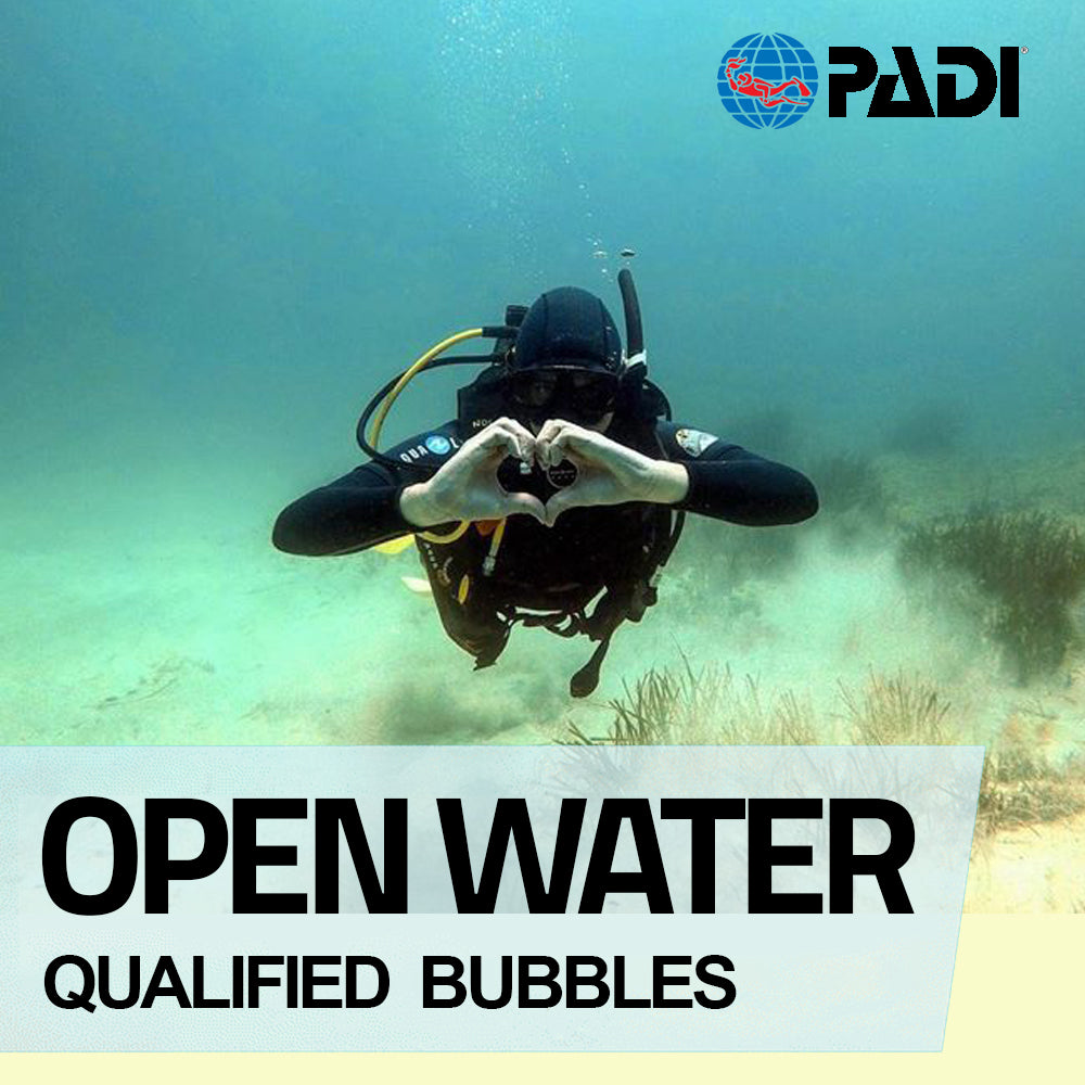 padi open water diver touch final exam