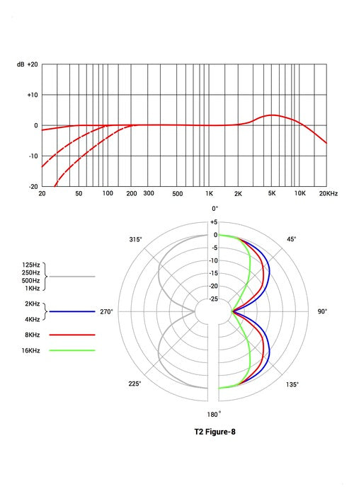 T2 Figure-8.jpg