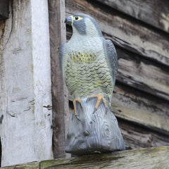 halcon espantapajaros