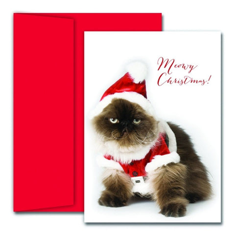 funny christmas card photo ideas with cats