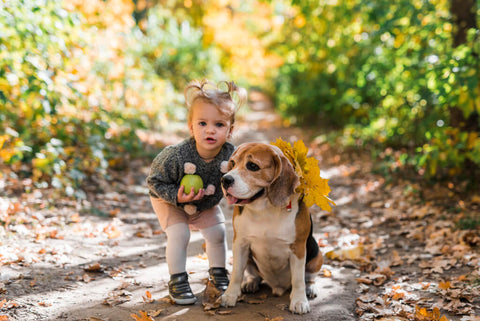 Dog with girl and apple