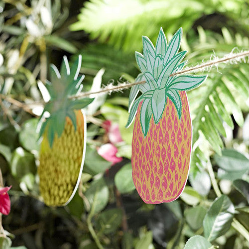 Pineapple Banner – Via Blossom