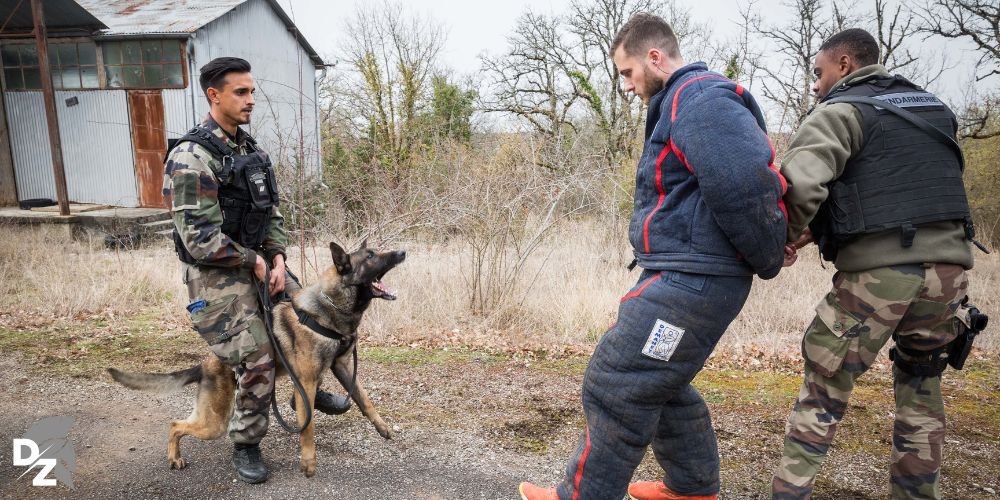 gendarmerie nationale, cynophile, cynotechnique, chien, malinois