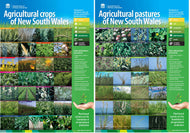 Agricultural crops and pastures of NSW classroom posters