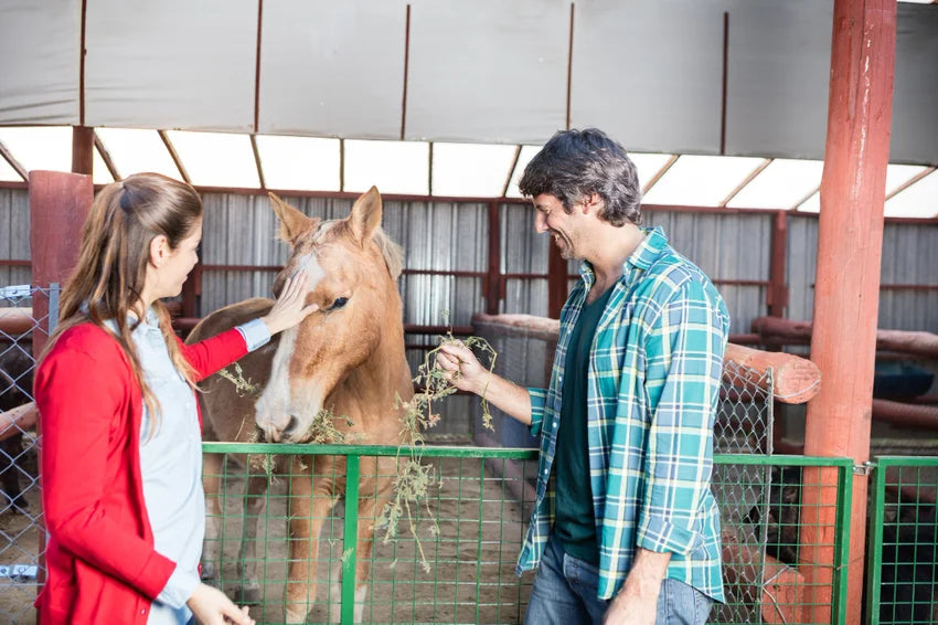 Mann und Frau bei Pferd im Stall