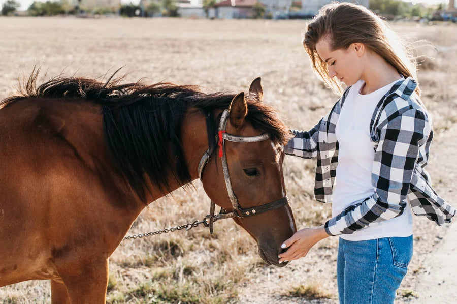 Junge Frau streichelt Pferd auf Weide