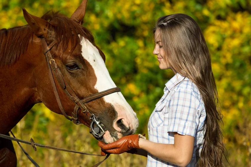 Junge Frau verabreicht dem Pferd CBD