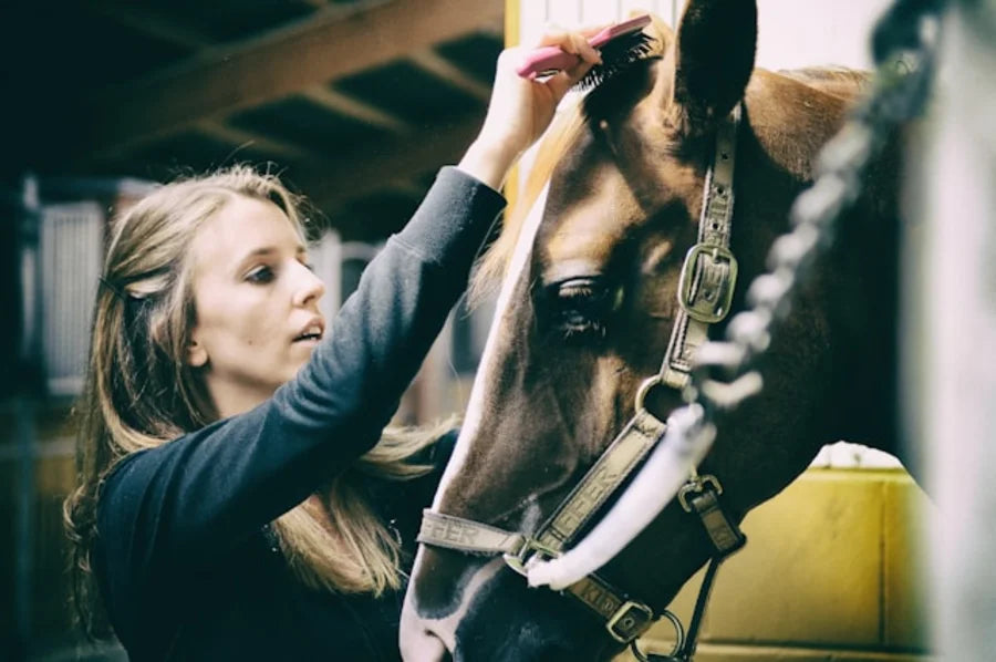 Frau bürstet Pferd im Stall