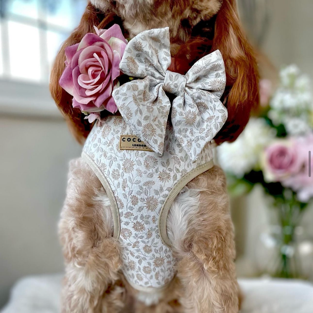 A dog wearing a floral harness with a large bow and a pink rose accessory.