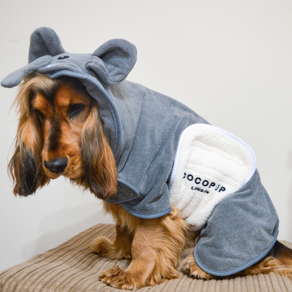 Dog dressed in a gray costume with ear-like features on the hood.