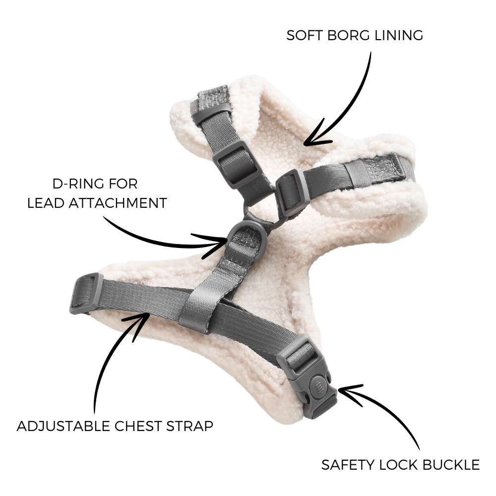 Dog harness with soft borg lining, adjustable chest strap, safety lock buckle, and D-ring for lead attachment.