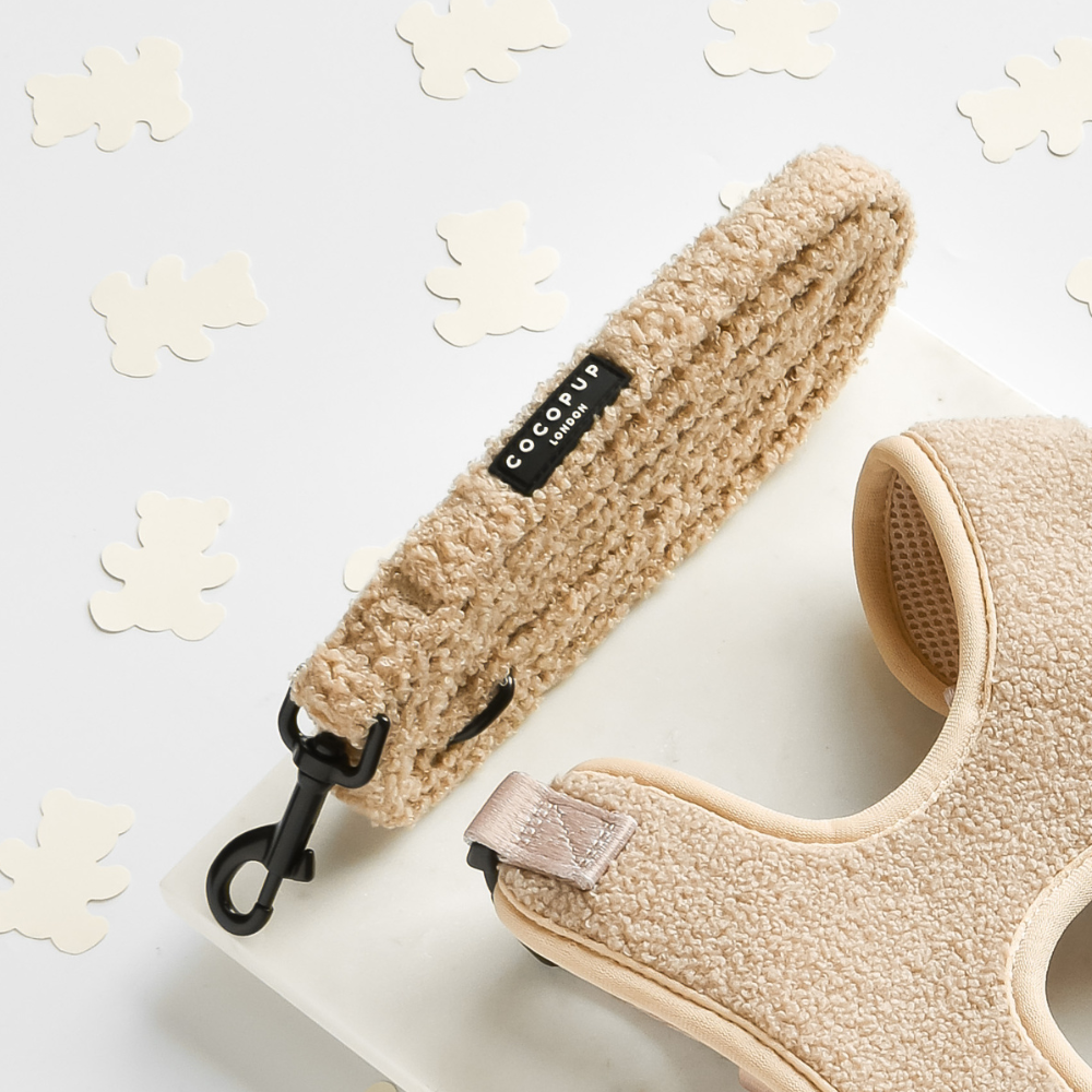 Beige textured dog harness and leash with teddy bear confetti.