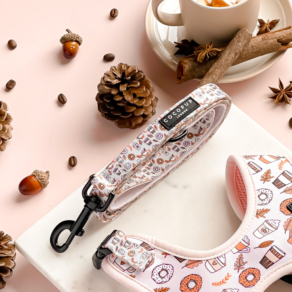 Close-up of a decorated dog leash and harness set with pinecones, coffee beans, and an acorn.