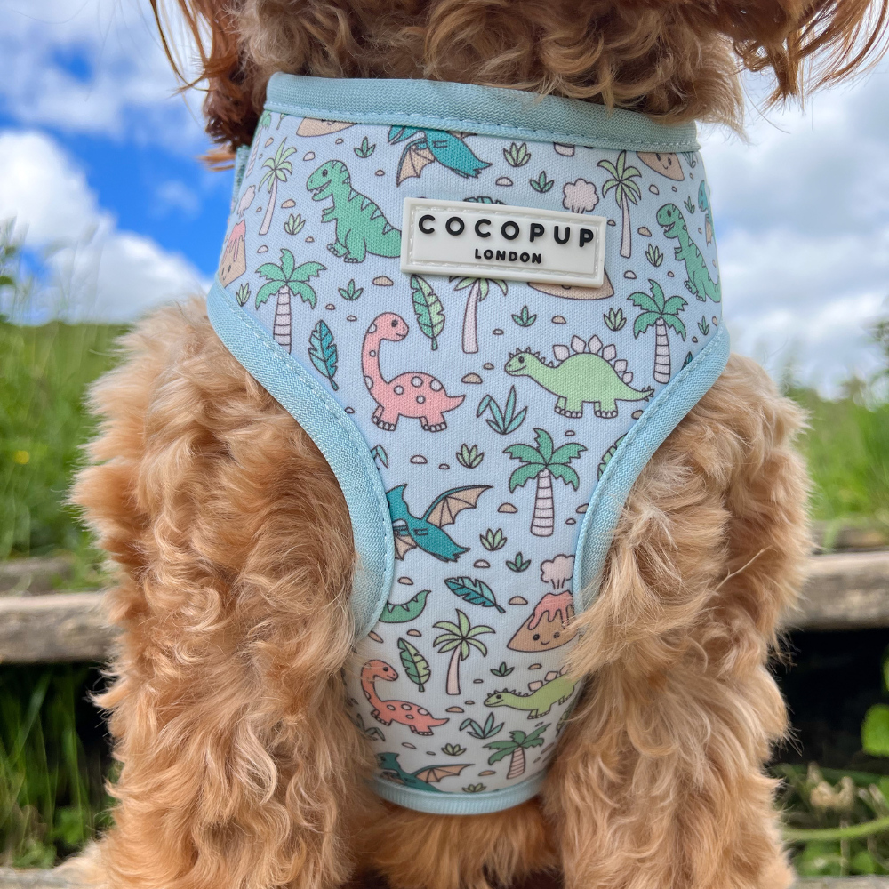 Close-up of a fluffy dog wearing a dinosaur-themed dog harness outside.