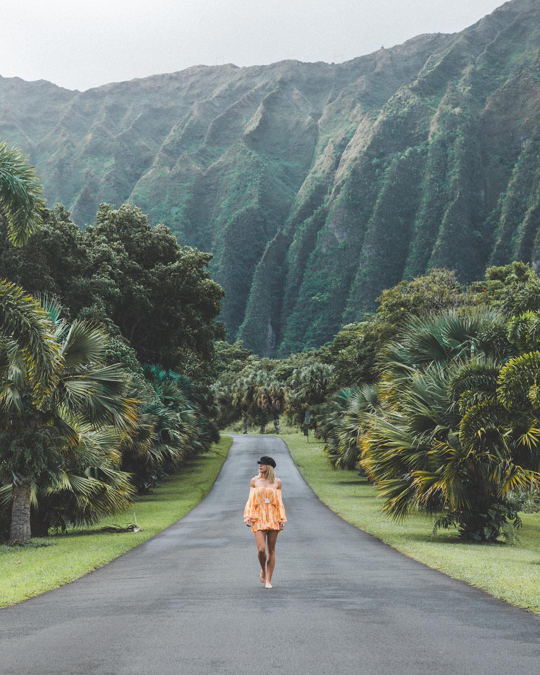 Hawaii Road Oahu