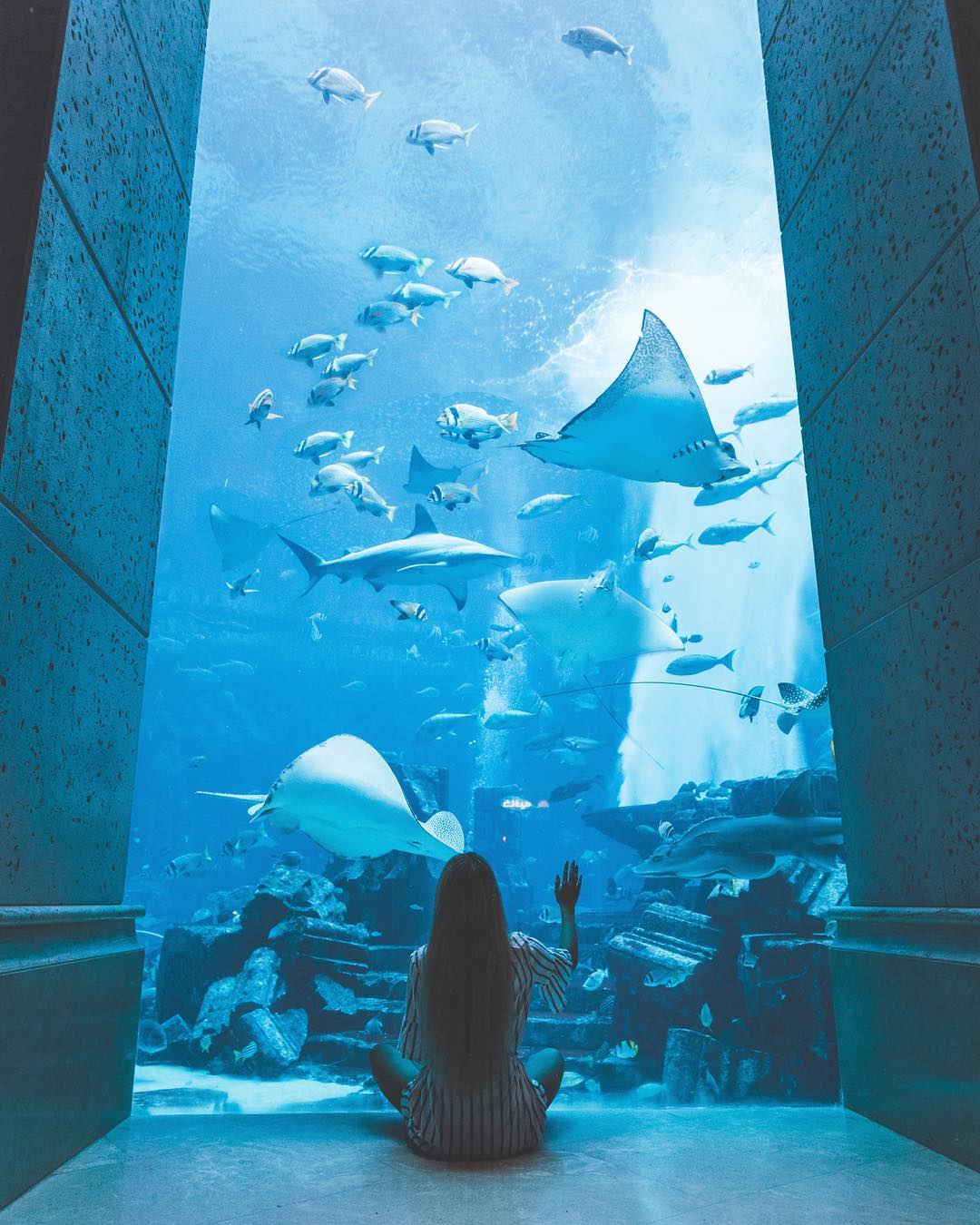 Aquarium at Atlantis Dubai