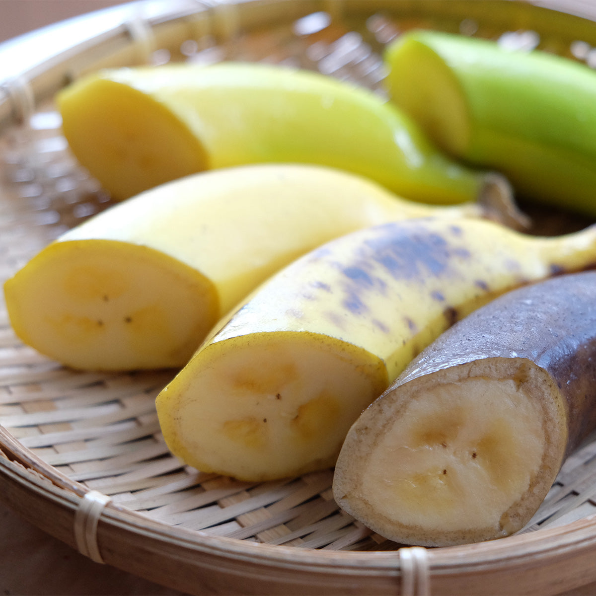 実物 食品サンプル キーホルダー ししとう