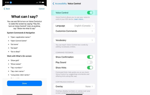 Apple iPhone Accessibility Settings Voice Control Screenshots Frank Mobile