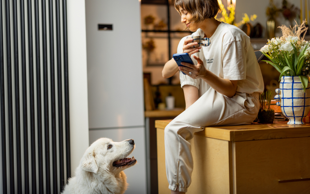 Woman Sitting on Countertop with a Smartphone Looking Down at Golden Retriever - Frank Mobile