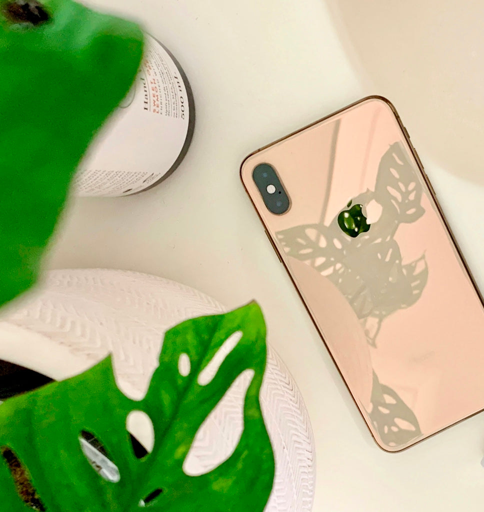 gold iPhone XS with monstera