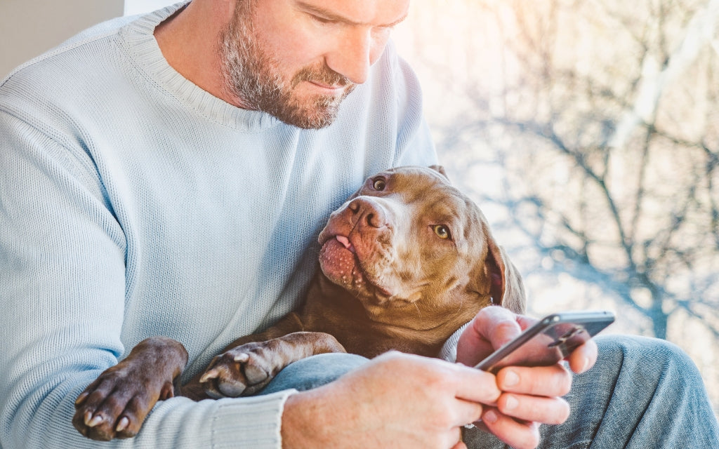 Man Hugging Dog in Lap Looking at His Smartphone - Frank Mobile