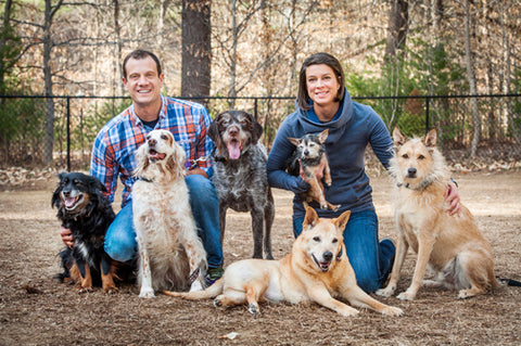 lazy dog, family portrait, lazy dog cookies, all natural dog treats