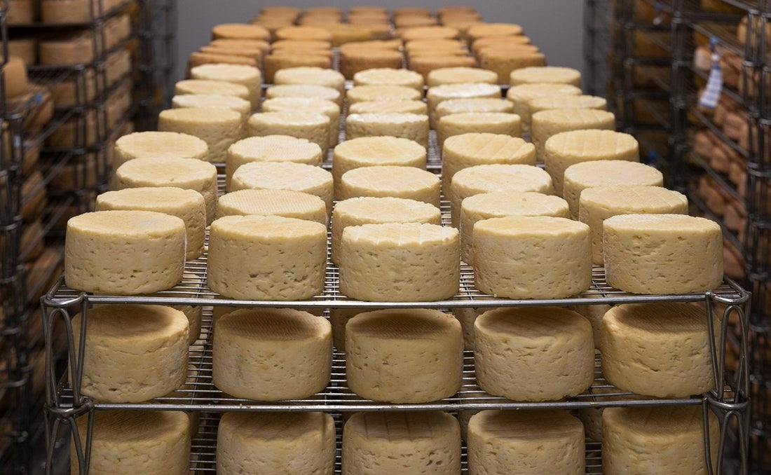 Cómo distinguir el queso real de los "plastiquesos"