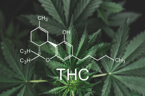 THCa vs THC-O Differences