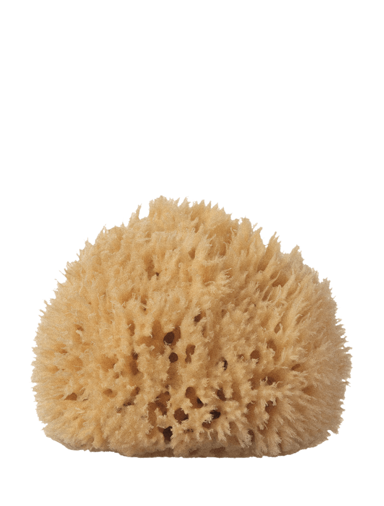 YOKU Medium Natural Sea Sponge